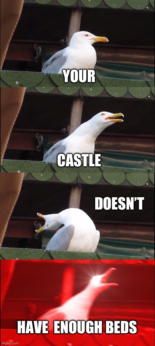 Inhaling Seagull Meme | YOUR; CASTLE; DOESN’T; HAVE  ENOUGH BEDS | image tagged in memes,inhaling seagull | made w/ Imgflip meme maker