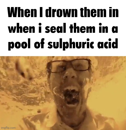 Ai meme | When I drown them in | image tagged in when i drown them in | made w/ Imgflip meme maker
