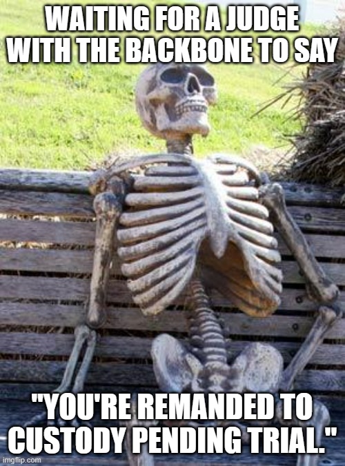 Waiting Skeleton Meme | WAITING FOR A JUDGE WITH THE BACKBONE TO SAY "YOU'RE REMANDED TO CUSTODY PENDING TRIAL." | image tagged in memes,waiting skeleton | made w/ Imgflip meme maker