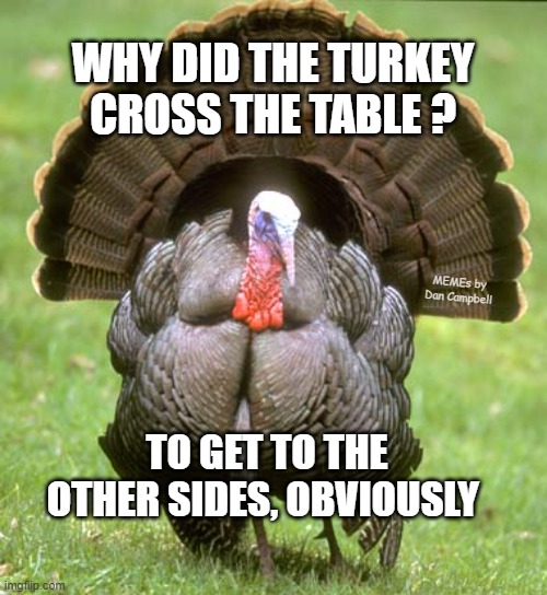 Turkey | WHY DID THE TURKEY CROSS THE TABLE ? MEMEs by Dan Campbell; TO GET TO THE OTHER SIDES, OBVIOUSLY | image tagged in memes,turkey | made w/ Imgflip meme maker