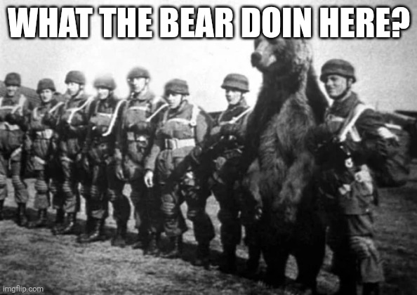 WHAT THE BEAR DOIN HERE? | made w/ Imgflip meme maker