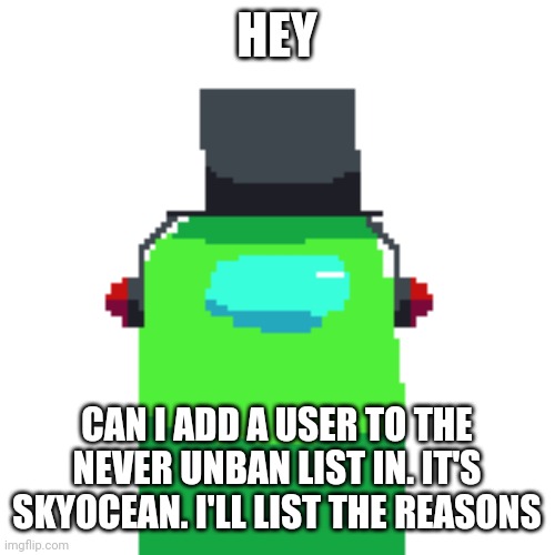 I won't be on for a while so I'll do it later | HEY; CAN I ADD A USER TO THE NEVER UNBAN LIST IN. IT'S SKYOCEAN. I'LL LIST THE REASONS | image tagged in ninjakiller oc | made w/ Imgflip meme maker