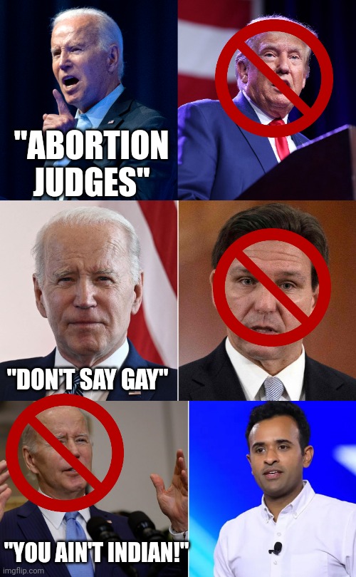 Simple Election Algorithm | "ABORTION JUDGES"; "DON'T SAY GAY"; "YOU AIN'T INDIAN!" | image tagged in biden,trump,florida man,indian guy,election | made w/ Imgflip meme maker