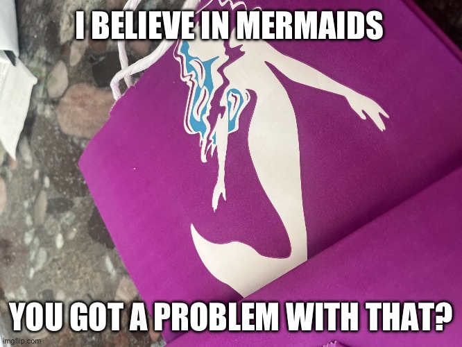 Mermaid | I BELIEVE IN MERMAIDS; YOU GOT A PROBLEM WITH THAT? | image tagged in mermaid | made w/ Imgflip meme maker