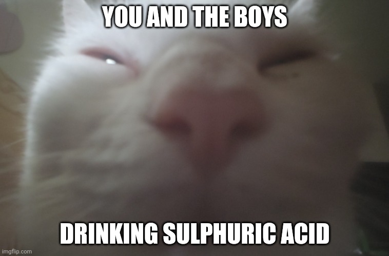 What is AI spouting about? | YOU AND THE BOYS; DRINKING SULPHURIC ACID | image tagged in guh nuh uh | made w/ Imgflip meme maker