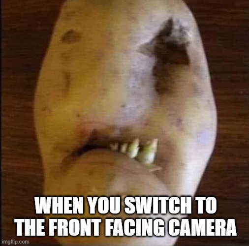 front facing camera | WHEN YOU SWITCH TO THE FRONT FACING CAMERA | image tagged in front facing camera,potatoe,ugly face,funny | made w/ Imgflip meme maker