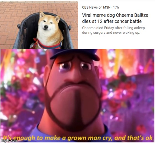 :( | image tagged in it's enough to make a grown man cry and that's ok,doge,cheems | made w/ Imgflip meme maker