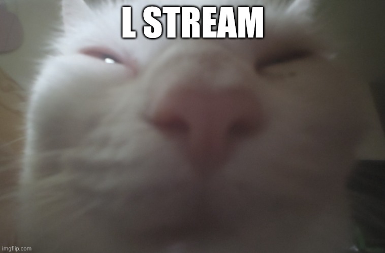 Guh? Nuh uh? | L STREAM | image tagged in guh nuh uh | made w/ Imgflip meme maker