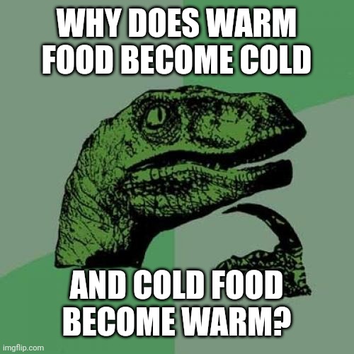 Hol uo | WHY DOES WARM FOOD BECOME COLD; AND COLD FOOD BECOME WARM? | image tagged in memes,philosoraptor | made w/ Imgflip meme maker