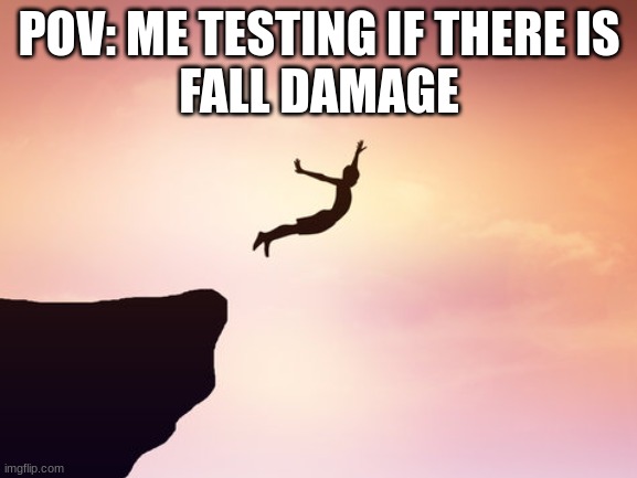 We do it everytime | POV: ME TESTING IF THERE IS
FALL DAMAGE | image tagged in relatable | made w/ Imgflip meme maker