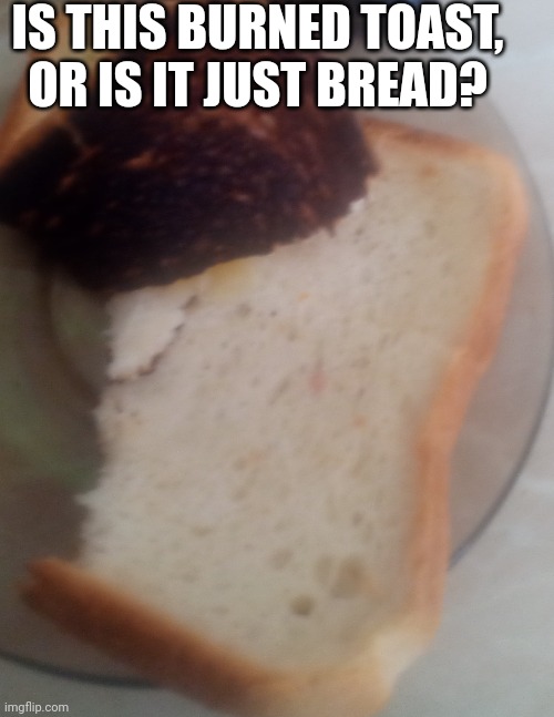 IS THIS BURNED TOAST, OR IS IT JUST BREAD? | image tagged in burned toast | made w/ Imgflip meme maker