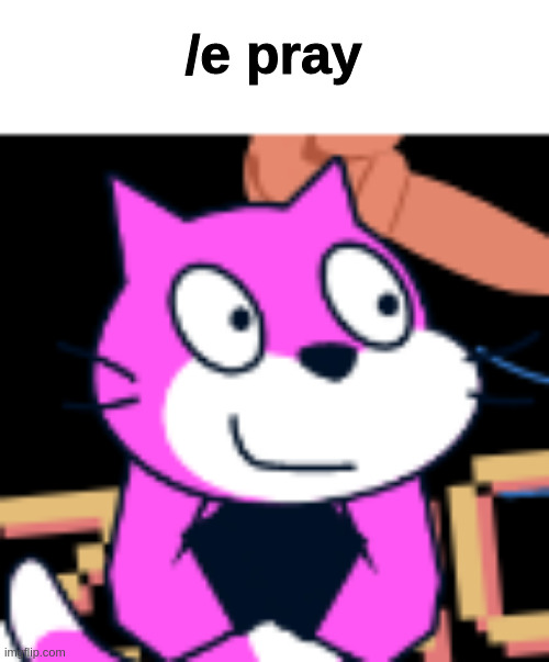 Amy uses /e pray (this is a cat oc btw) | /e pray | image tagged in cats | made w/ Imgflip meme maker