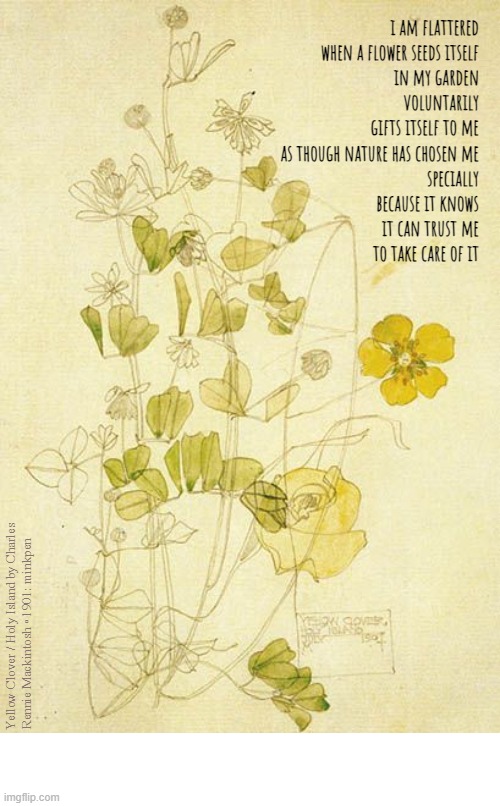 Flowers | image tagged in artmemes,botanicalart,botany,nature,garden,gardening | made w/ Imgflip meme maker