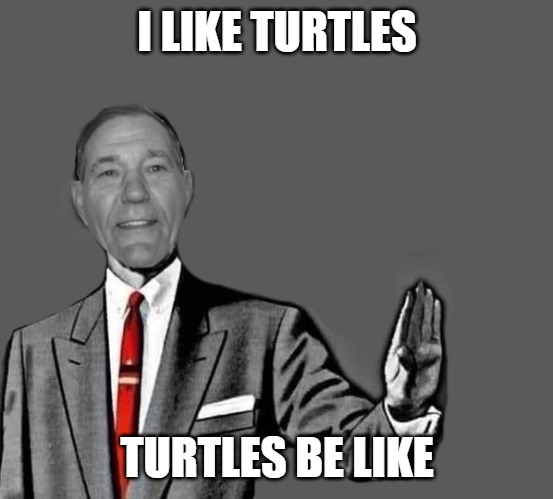 no way | I LIKE TURTLES; TURTLES BE LIKE | image tagged in kewlew blank | made w/ Imgflip meme maker