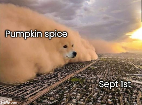 Dust Doge Storm | Pumpkin spice; Sept 1st | image tagged in dust doge storm | made w/ Imgflip meme maker