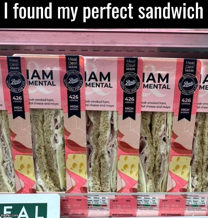 I found my perfect sandwich | image tagged in mental | made w/ Imgflip meme maker