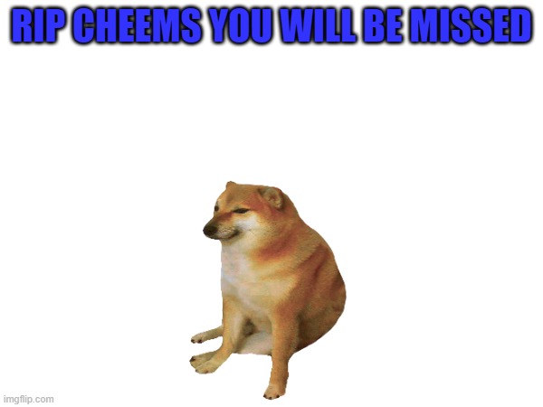 I JUST FOUND OUT HE DIED NOOOOO | RIP CHEEMS YOU WILL BE MISSED | image tagged in cheems | made w/ Imgflip meme maker