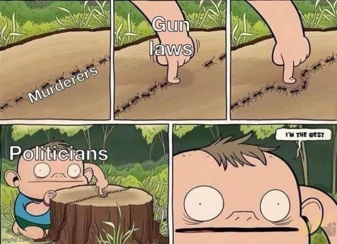 image tagged in gun laws,gun control | made w/ Imgflip meme maker