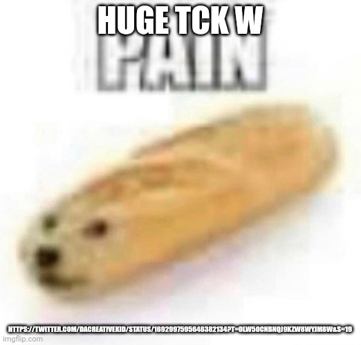 PAIN | HUGE TCK W; HTTPS://TWITTER.COM/DACREATIVEKID/STATUS/1692997595646382134?T=0LW5OCNBNQJ9KZW8WYJM8W&S=19 | image tagged in pain | made w/ Imgflip meme maker