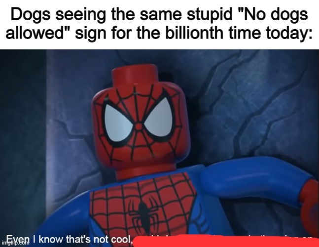 They must absolutely hate those signs by now :I | Dogs seeing the same stupid "No dogs allowed" sign for the billionth time today: | made w/ Imgflip meme maker