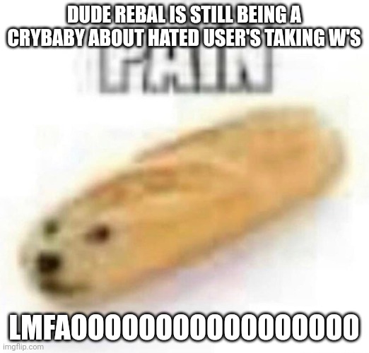 PAIN | DUDE REBAL IS STILL BEING A CRYBABY ABOUT HATED USER'S TAKING W'S; LMFAOOOOOOOOOOOOOOOOO | image tagged in pain | made w/ Imgflip meme maker