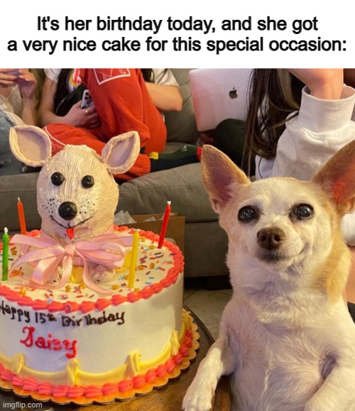 So sweet ^-^ | It's her birthday today, and she got a very nice cake for this special occasion: | made w/ Imgflip meme maker