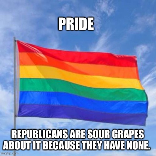 Gay pride flag | PRIDE; REPUBLICANS ARE SOUR GRAPES ABOUT IT BECAUSE THEY HAVE NONE. | image tagged in gay pride flag | made w/ Imgflip meme maker