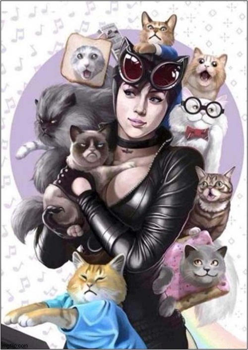 The Ultimate Cat 'Meme' Woman ! | image tagged in cats,catwoman,famous,memes | made w/ Imgflip meme maker