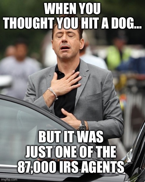 Relief | WHEN YOU THOUGHT YOU HIT A DOG…; BUT IT WAS JUST ONE OF THE 87,000 IRS AGENTS | image tagged in relief,irs,maga,republicans,donald trump,robert downey jr | made w/ Imgflip meme maker