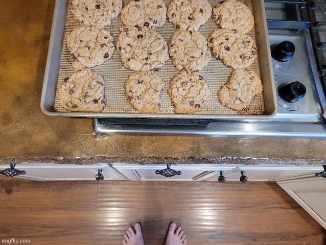 Cookies | image tagged in funny | made w/ Imgflip meme maker