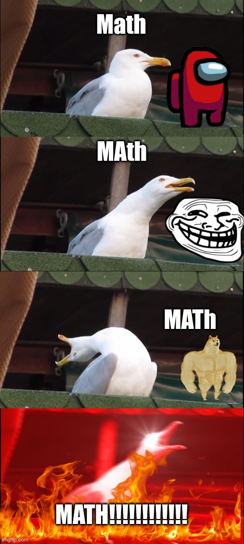 Inhaling Seagull | Math; MAth; MATh; MATH!!!!!!!!!!!! | image tagged in memes,inhaling seagull | made w/ Imgflip meme maker