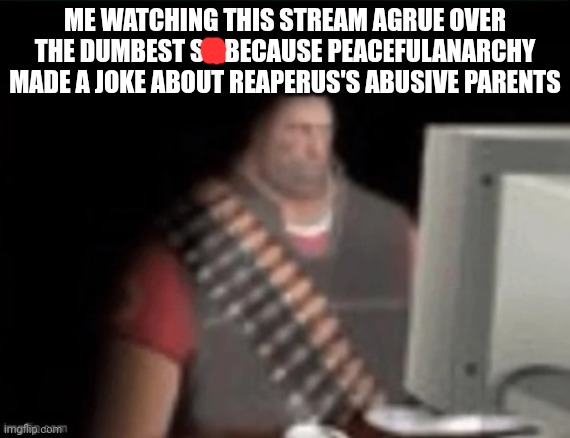 sad heavy computer | ME WATCHING THIS STREAM AGRUE OVER THE DUMBEST S    BECAUSE PEACEFULANARCHY MADE A JOKE ABOUT REAPERUS'S ABUSIVE PARENTS | image tagged in sad heavy computer | made w/ Imgflip meme maker