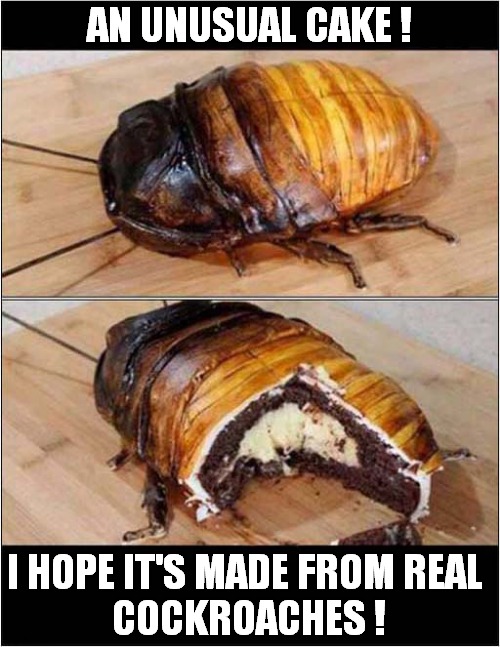 A Tasty Treat ? | AN UNUSUAL CAKE ! I HOPE IT'S MADE FROM REAL 
COCKROACHES ! | image tagged in fun,cockroach,cake | made w/ Imgflip meme maker