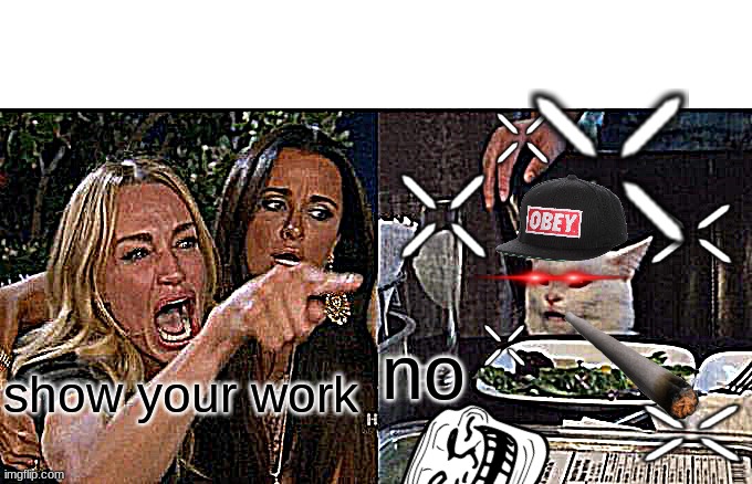 I am the one the one the one | no; show your work | image tagged in memes,woman yelling at cat | made w/ Imgflip meme maker