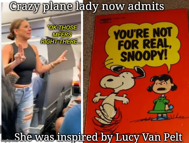 Crazy plane lady now admits; "OK THOSE MFERS RIGHT THERE... She was inspired by Lucy Van Pelt | image tagged in stop,madness | made w/ Imgflip meme maker