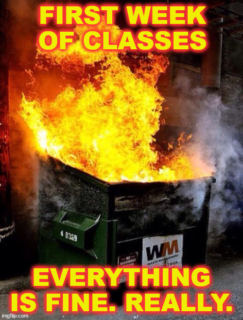 First Day of Classes | FIRST WEEK OF CLASSES; EVERYTHING IS FINE. REALLY. | image tagged in dumpster fire,school,class,students,teachers | made w/ Imgflip meme maker