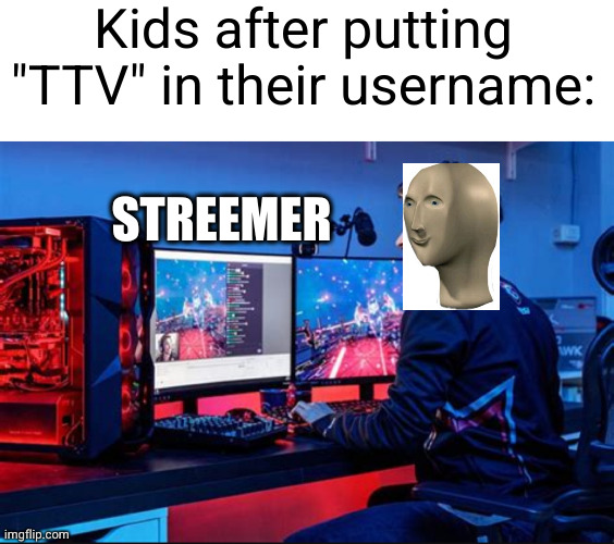 I guess that means I'm famous now... | Kids after putting "TTV" in their username:; STREEMER | image tagged in kids,so true,gaming,ttv,funny,streamer | made w/ Imgflip meme maker