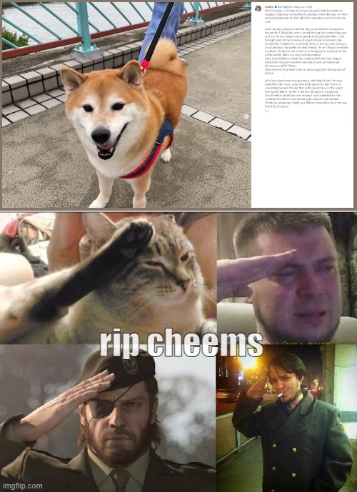 rip cheems | rip cheems | image tagged in ozon's salute | made w/ Imgflip meme maker