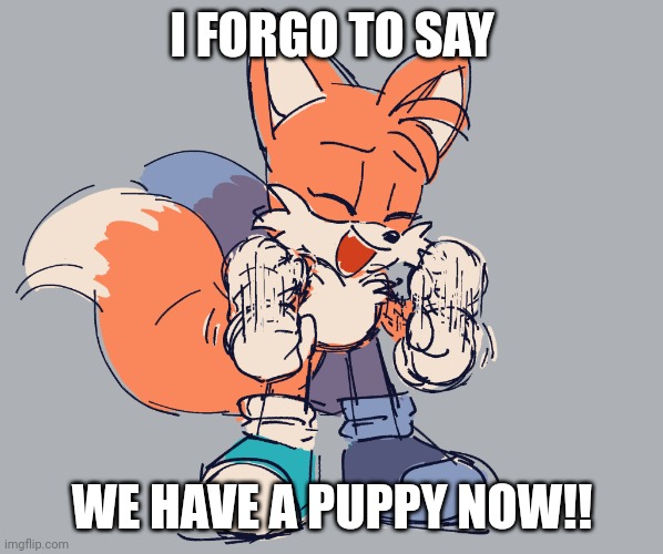 hes cuuttee | I FORGO TO SAY; WE HAVE A PUPPY NOW!! | image tagged in happy tails | made w/ Imgflip meme maker