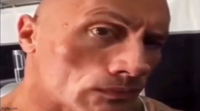 the rock eyebrow | image tagged in the rock eyebrow | made w/ Imgflip meme maker