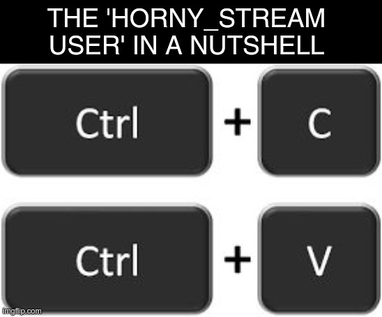 nahman allow anonymous posts | THE 'HORNY_STREAM USER' IN A NUTSHELL | image tagged in ctrl c ctrl v | made w/ Imgflip meme maker