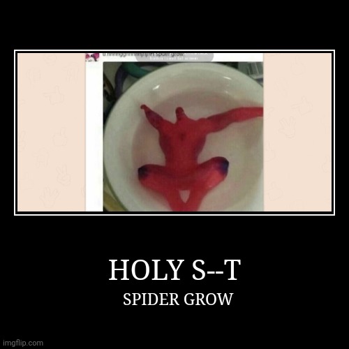 SPIDER GROW | HOLY S--T | SPIDER GROW | image tagged in funny,demotivationals | made w/ Imgflip demotivational maker