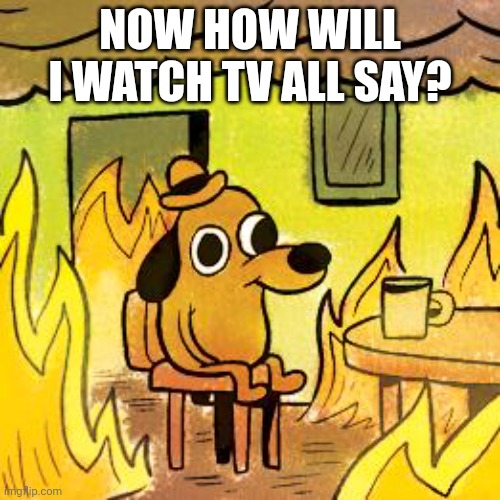 Dog in burning house | NOW HOW WILL I WATCH TV ALL SAY? | image tagged in dog in burning house | made w/ Imgflip meme maker