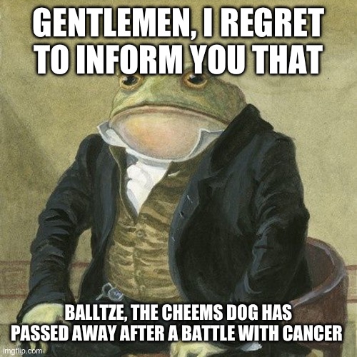Sorry to tell you, but it’s true. Goodbye, Cheems | GENTLEMEN, I REGRET TO INFORM YOU THAT; BALLTZE, THE CHEEMS DOG HAS PASSED AWAY AFTER A BATTLE WITH CANCER | image tagged in gentlemen it is with great pleasure to inform you that,sad,memes | made w/ Imgflip meme maker