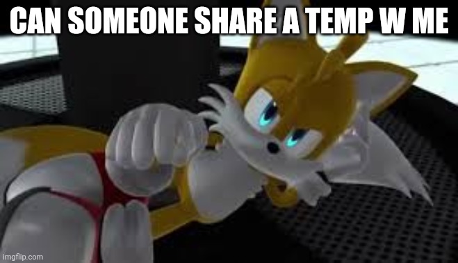 bored tails | CAN SOMEONE SHARE A TEMP W ME | image tagged in bored tails | made w/ Imgflip meme maker