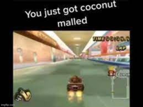 YOU JUST GOT COCONUT MALLED | image tagged in you just got coconut malled | made w/ Imgflip meme maker