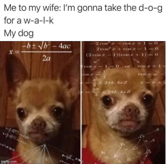 image tagged in dog math | made w/ Imgflip meme maker