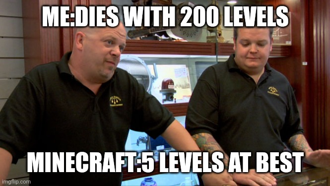 MC levels | ME:DIES WITH 200 LEVELS; MINECRAFT:5 LEVELS AT BEST | image tagged in pawn stars best i can do | made w/ Imgflip meme maker