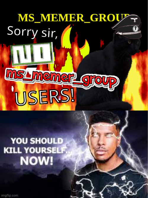 image tagged in sorry sir no ms_memer_group users,you should kill yourself now | made w/ Imgflip meme maker