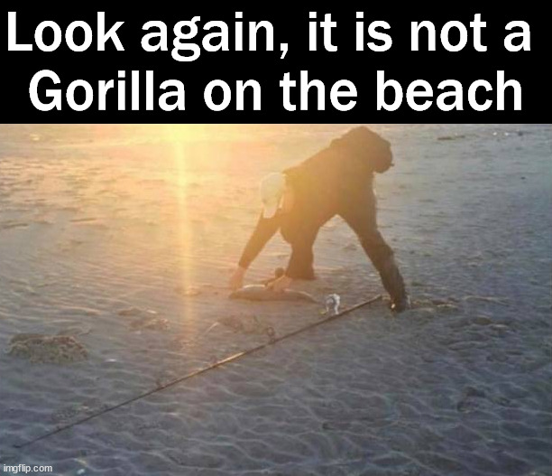 Photography monkey business | Look again, it is not a 
Gorilla on the beach | image tagged in totally looks like,day at the beach,gorilla | made w/ Imgflip meme maker